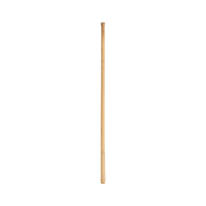 قلم نی شمالی درجه یک