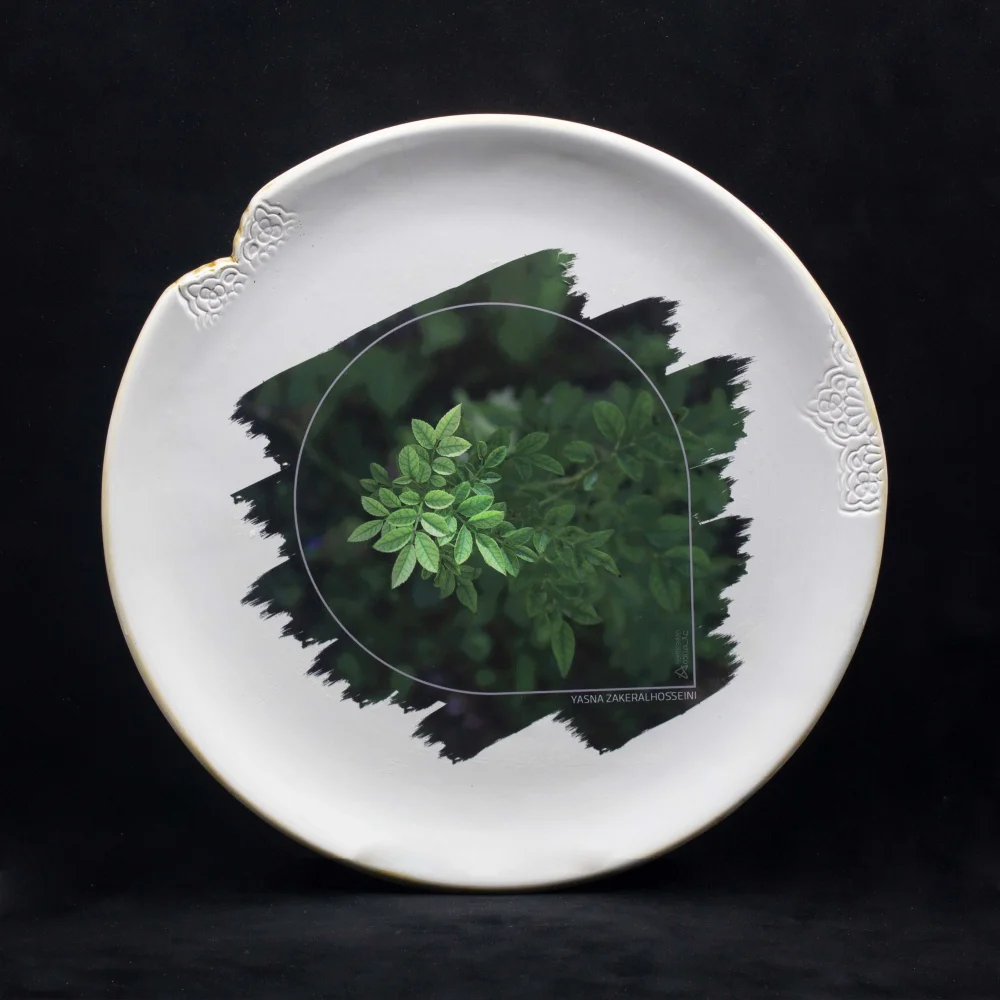 حیات - اثر یسنا ذاکرالحسینی حیات - اثر یسنا ذاکرالحسینی